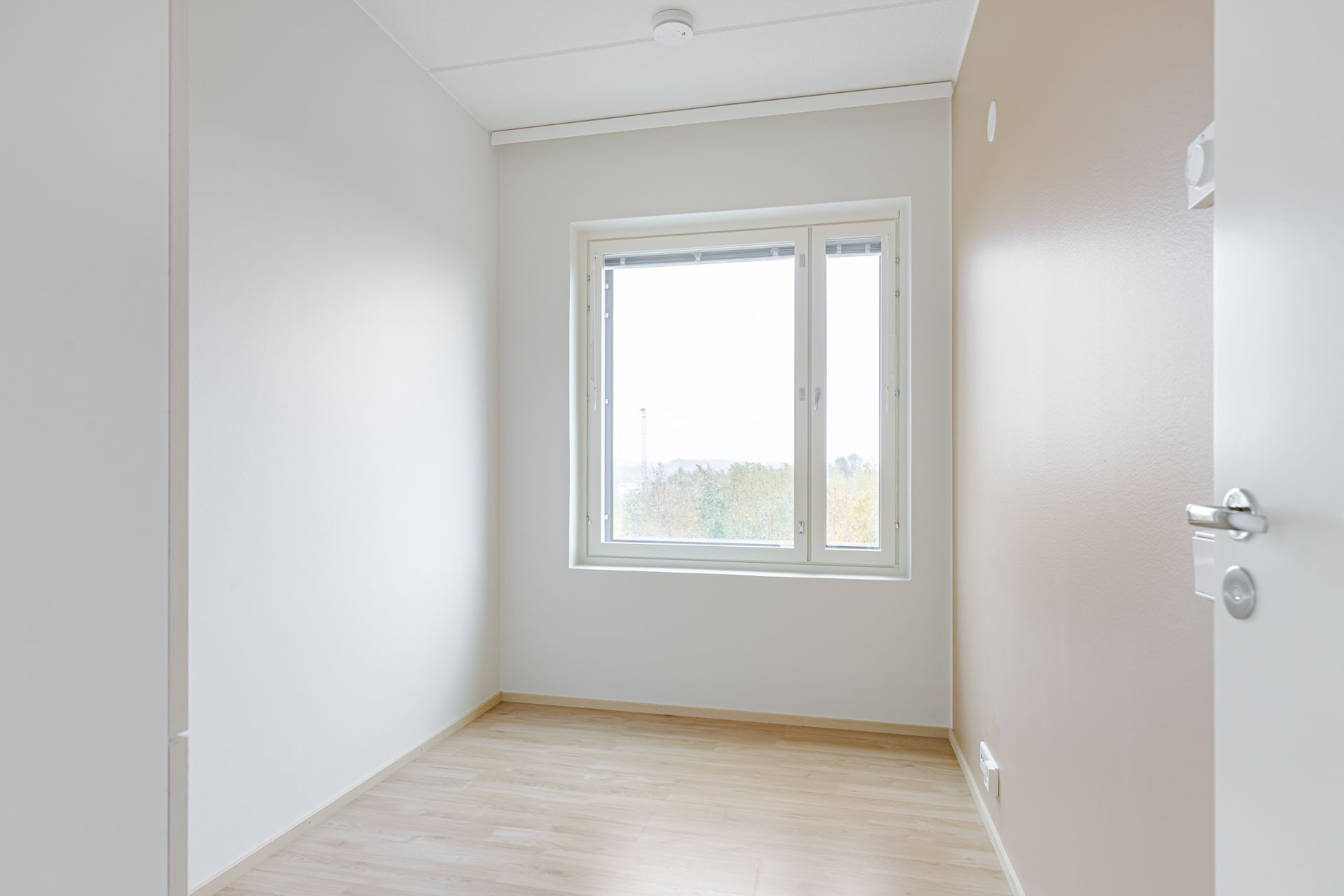 image number 8