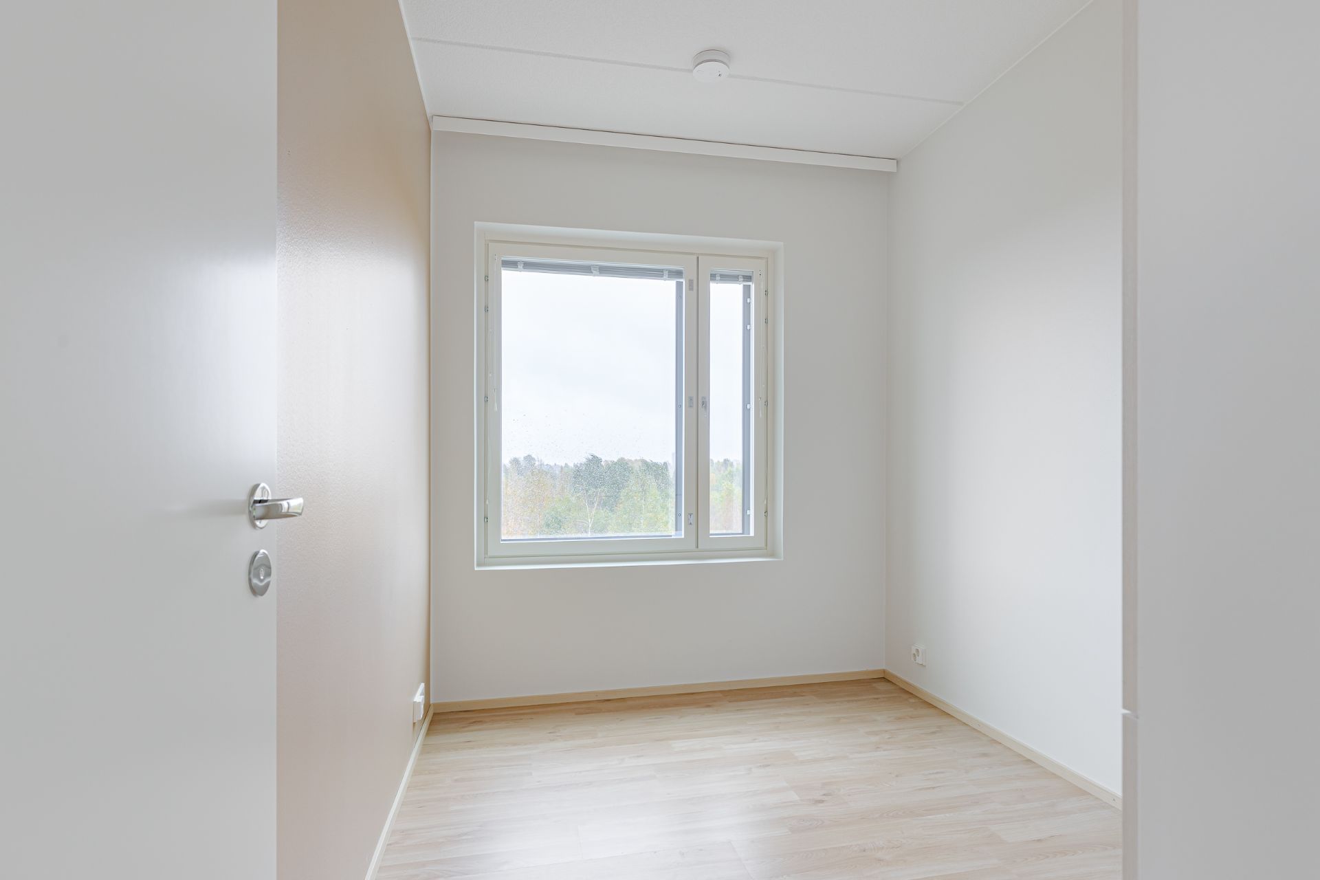 image number 6