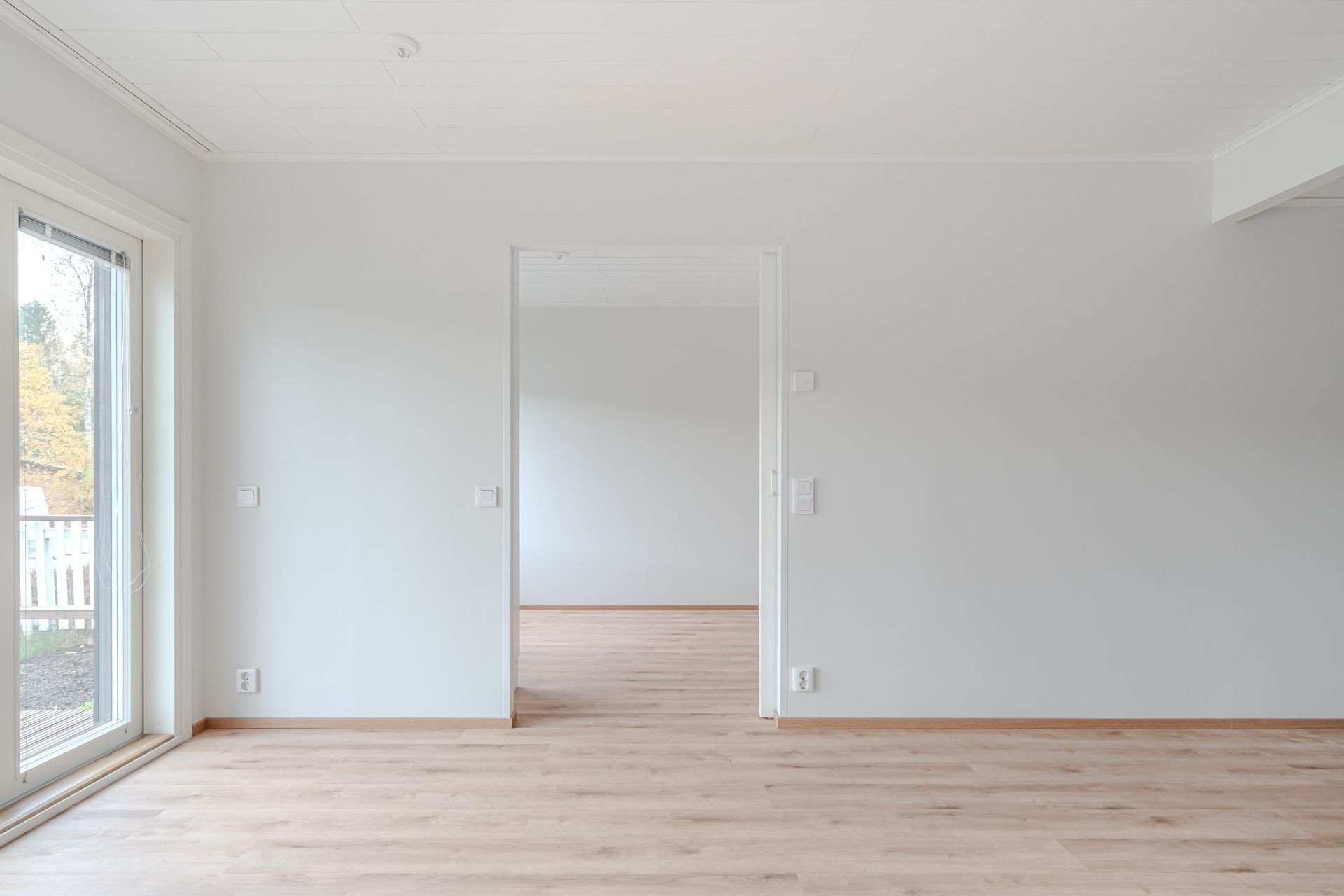 image number 5