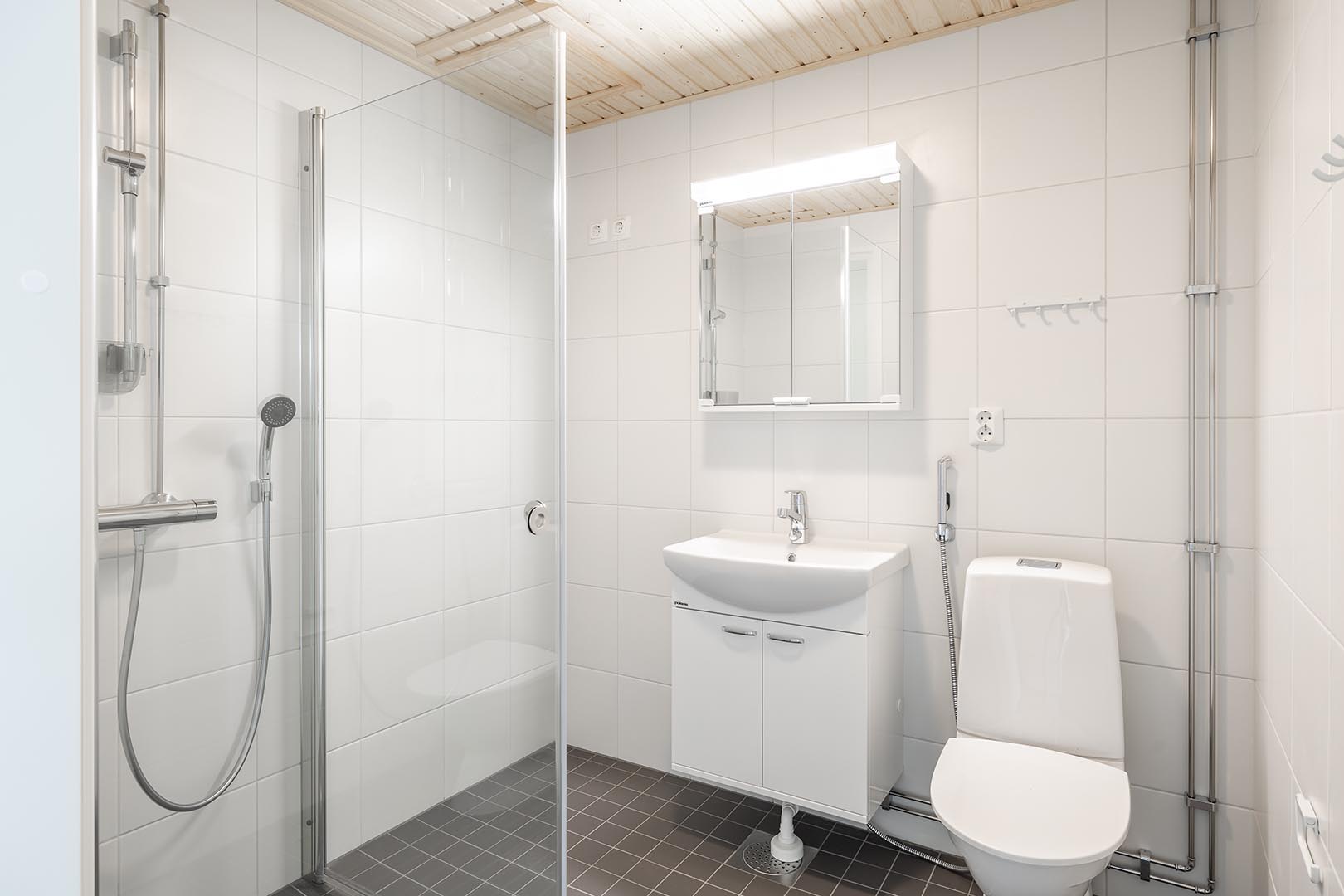 Pohjakuva tampere/hervantajarvi/lyyrapyrsto-2/2715-7733